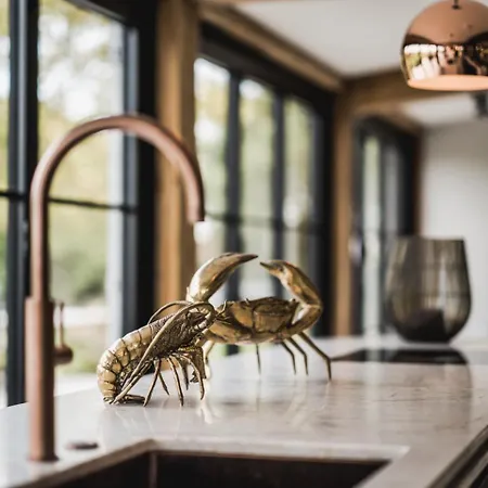 Luxe Poolhouse Villa Ouddorp
